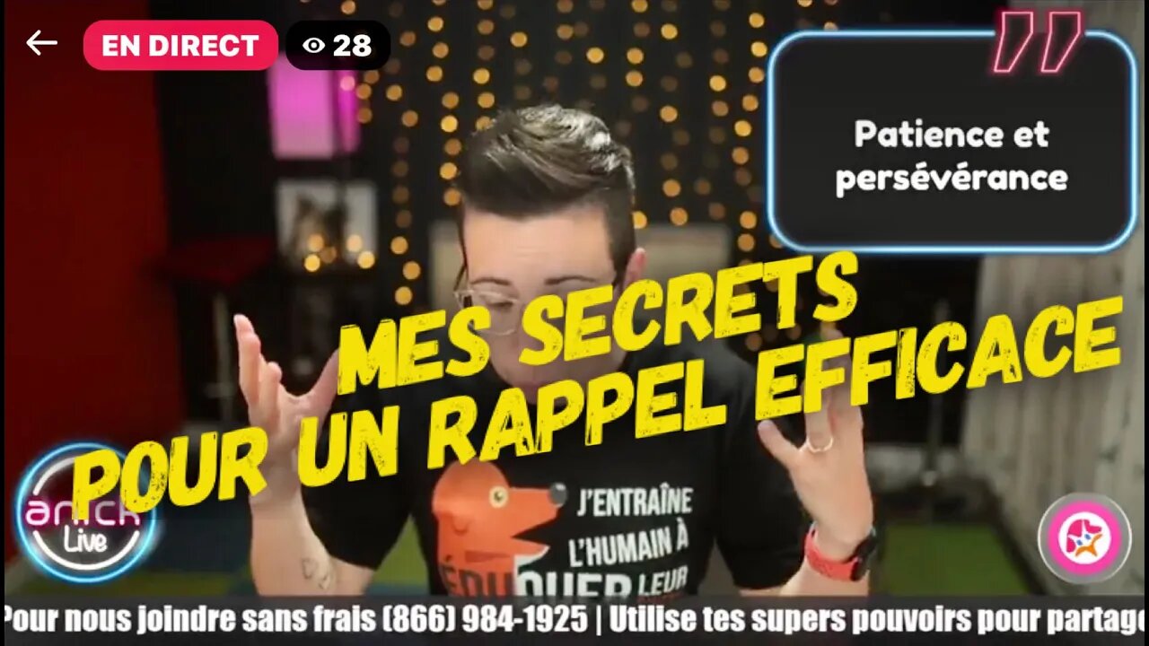 🐾 Rappel Express 🚀: Liberté, Complicité & Sécurité! 🌟