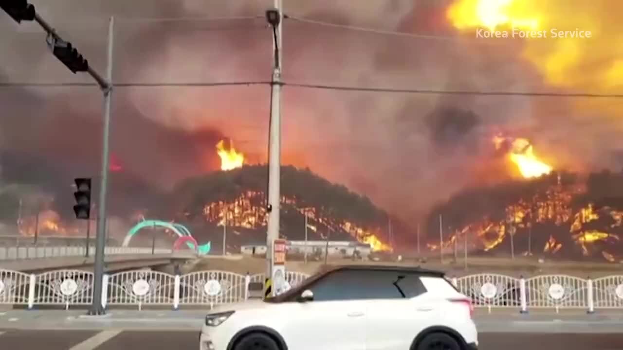 Huge Wildfire Burns Near Nuclear Power In South Korea