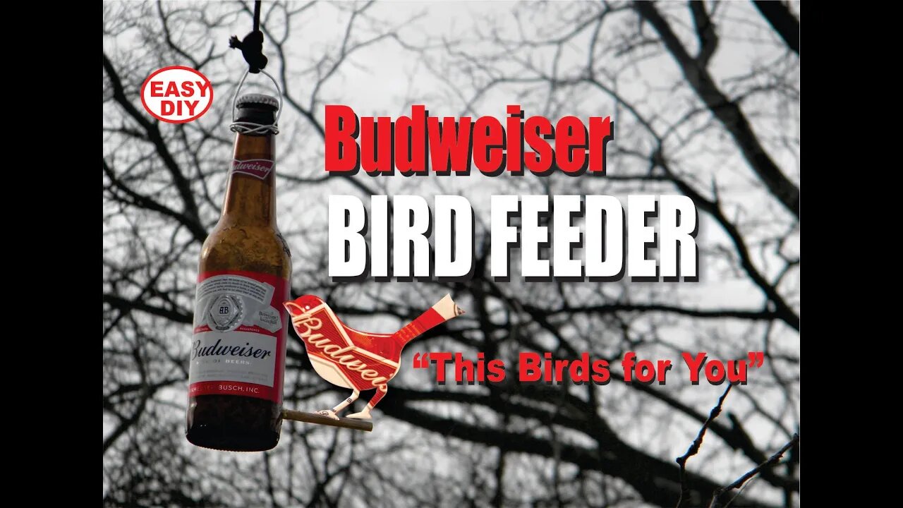 Easy DIY Budweiser Bird Feeder