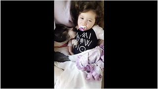 Pit Bull preciously snuggles with toddler
