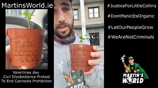 420 News Tuesday 22nd of November 2022