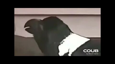 Hentai Raven