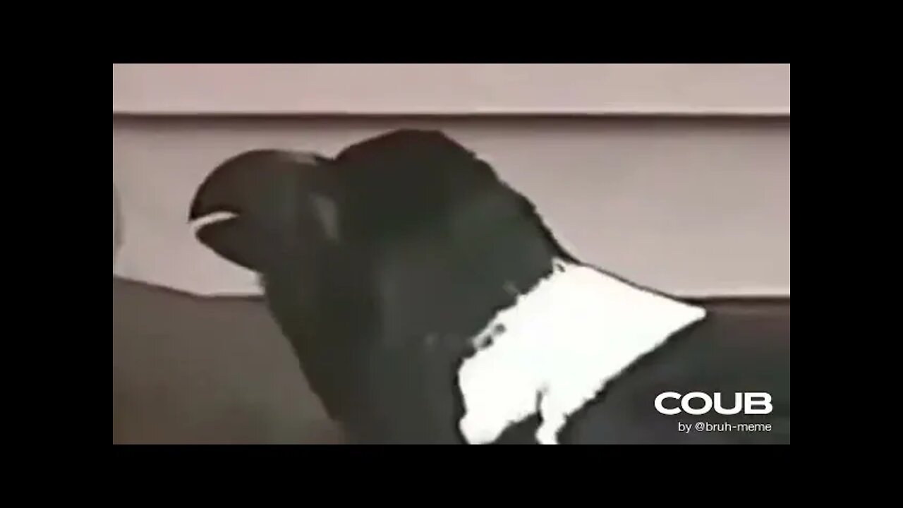 Hentai Raven
