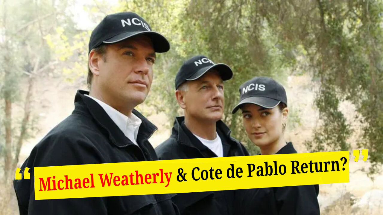 Mark Harmon Confirms NCIS Return! Michael Weatherly & Cote de Pablo