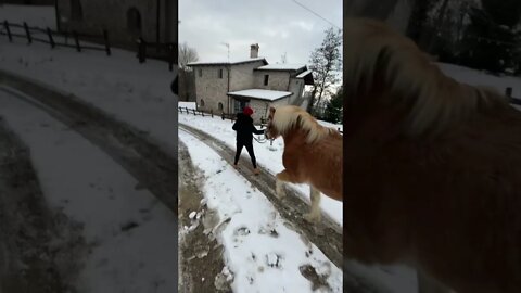 GOT my Girlfriend a Pony for Christmas 🎅🦄