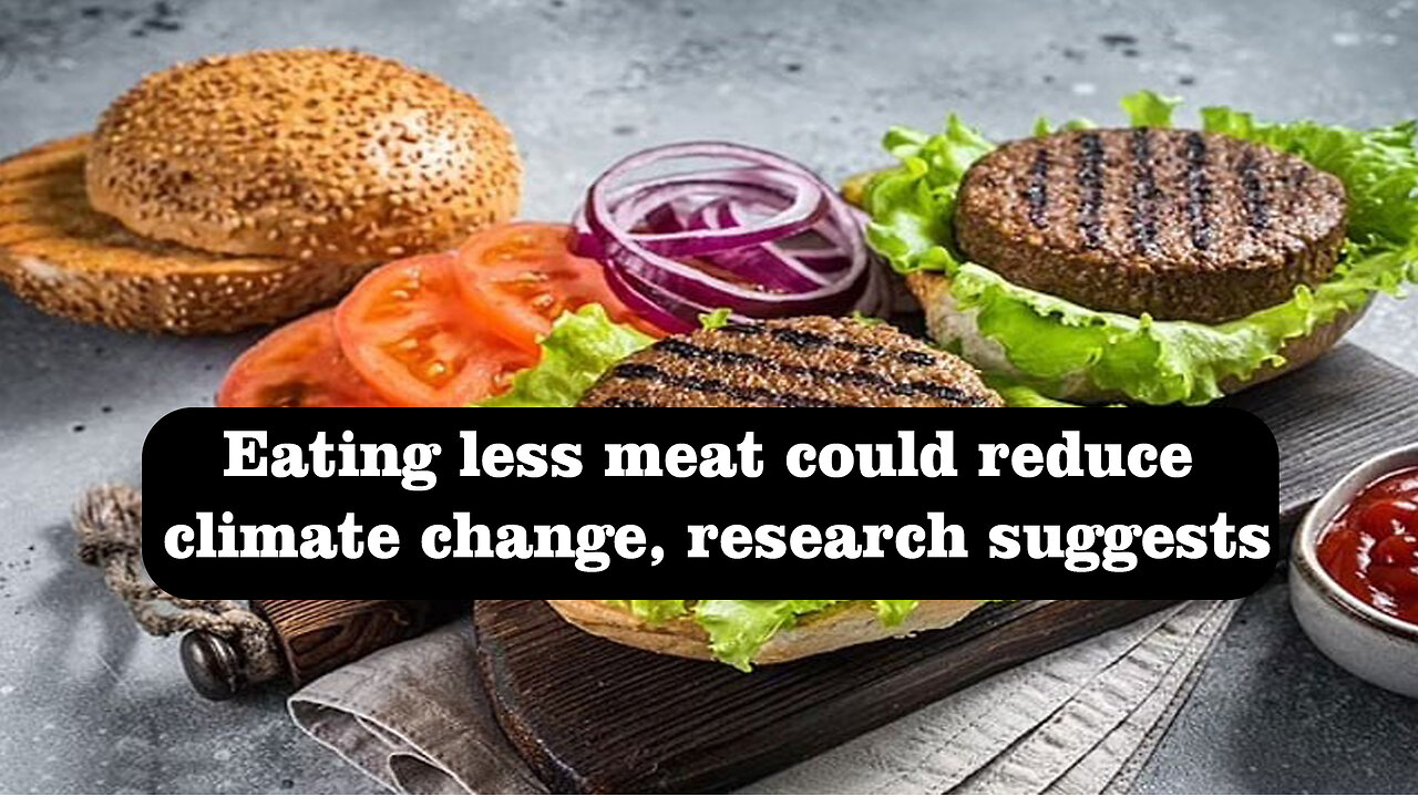 Eating less meat could reduce climate change, research suggests @InterestingStranger