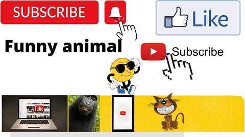 Best funny animal videos 2022