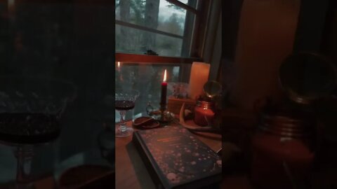 Introverts Evening tiktok wild morgan