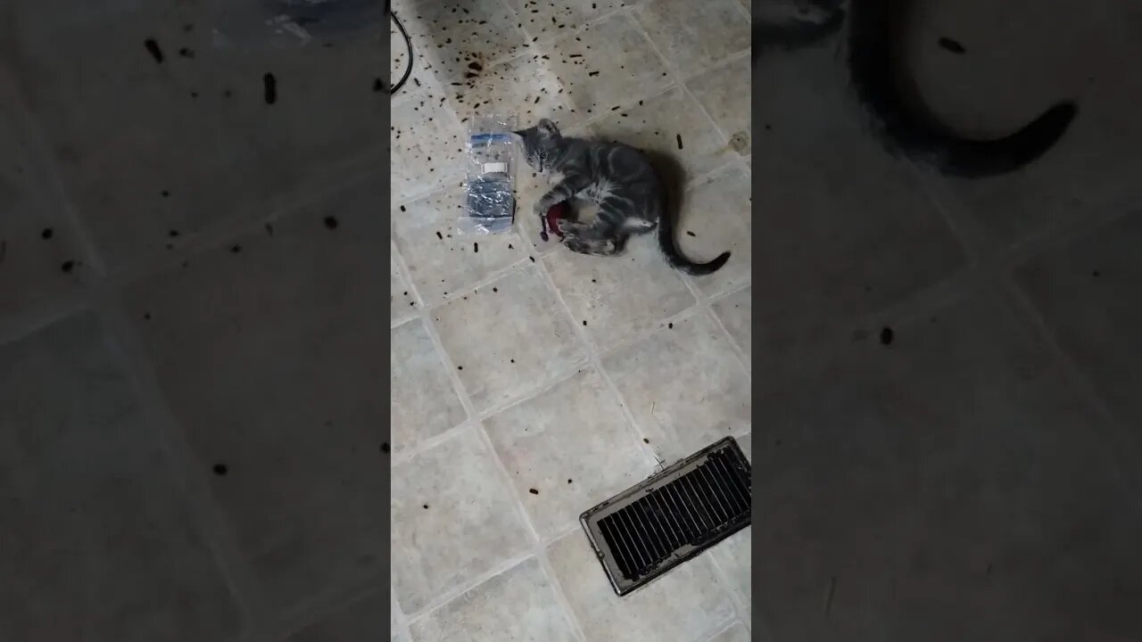 BABY! GET YOUR BABY 😘