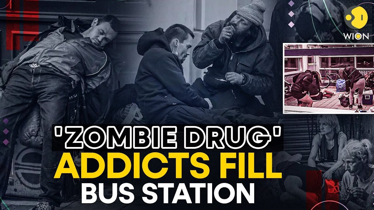 'Zombie drug' addicts fill inside Canadian bus station | WION Originals | NE ✅