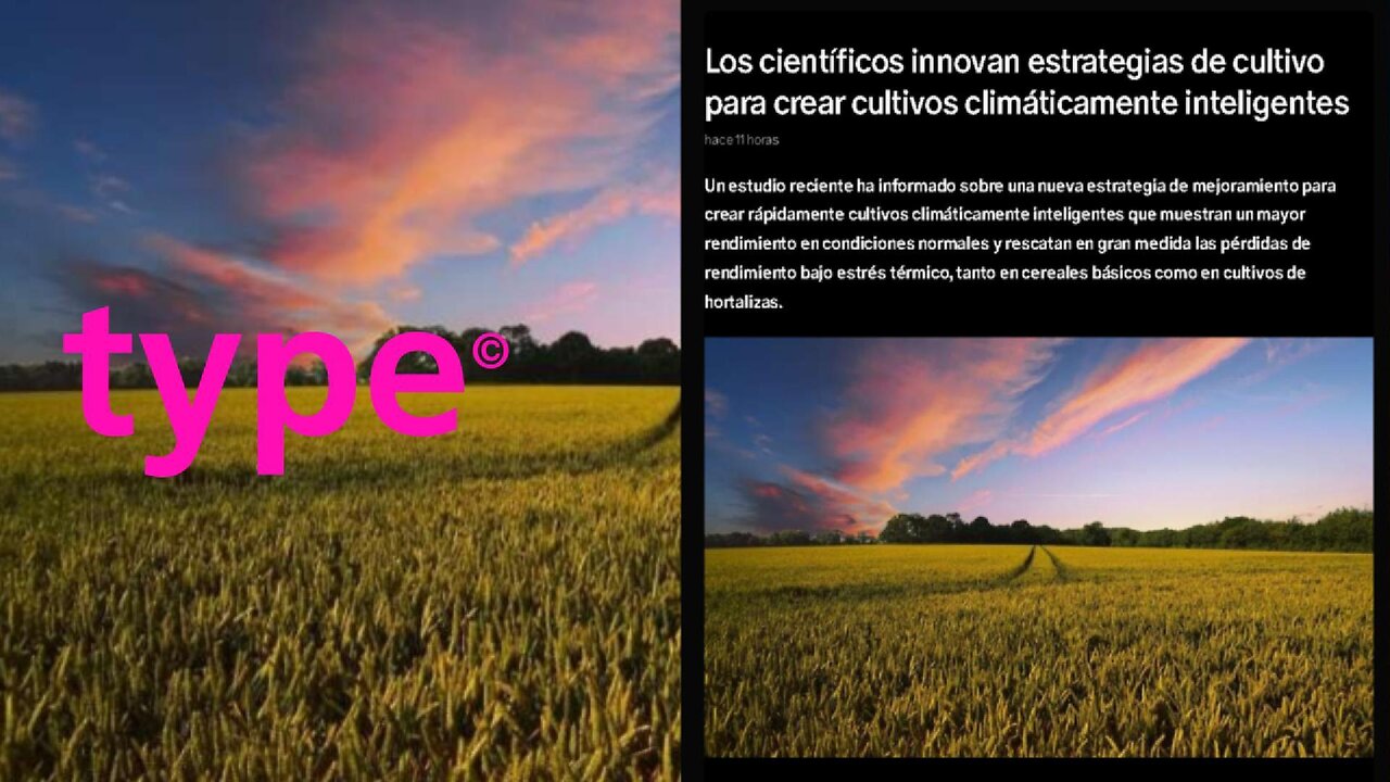 Los científicos innovan estrategias de cultivo para crear cultivos climáticamente inteligentes