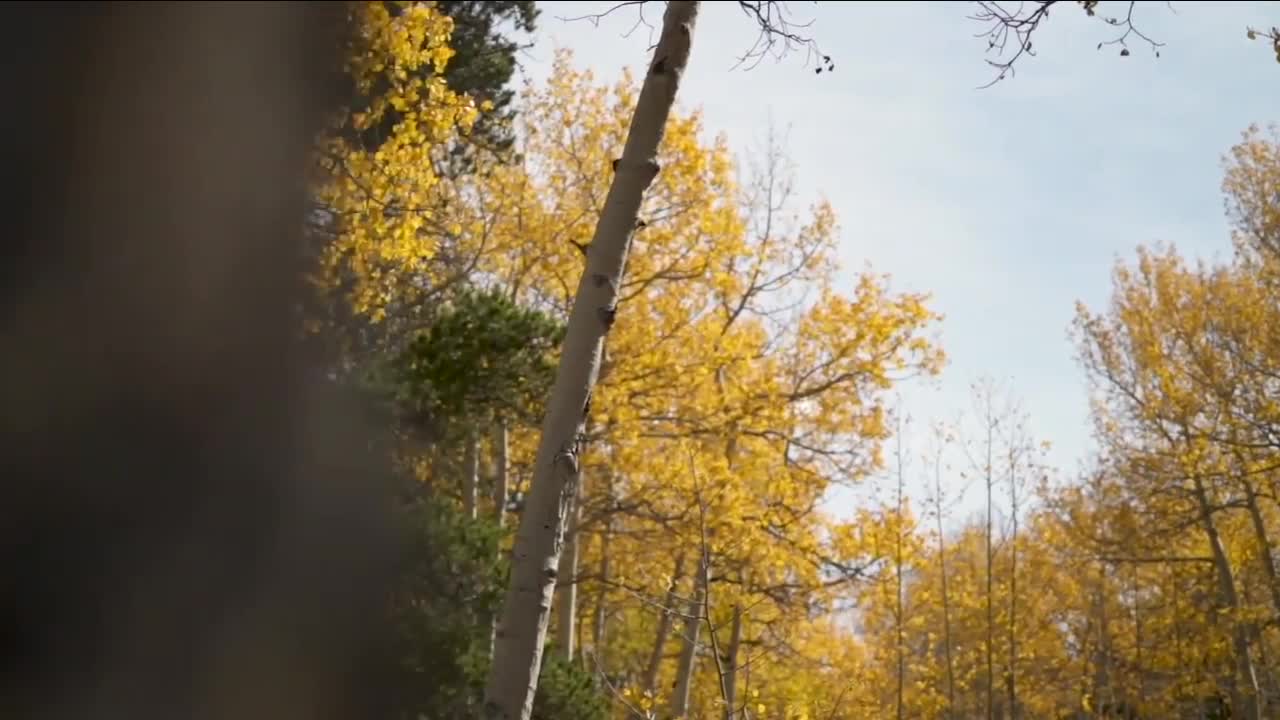 CDOT reminding drivers to 'be a smart leaf peeper' this weekend