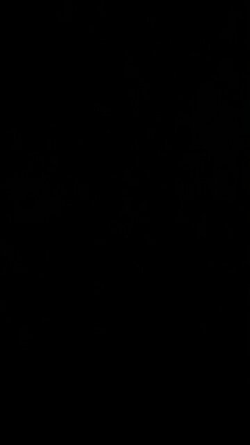 Heatwave coming to the east coast?