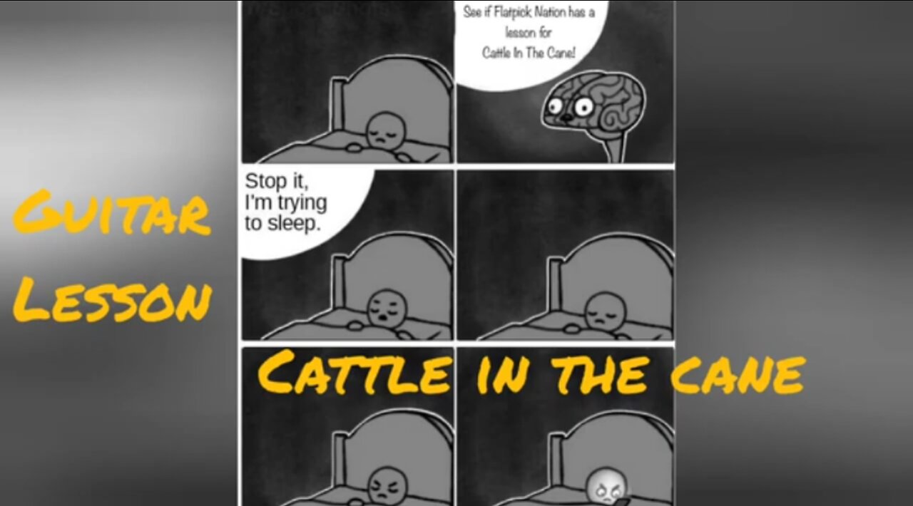 Guitar Lesson - Cattle in the Cane
