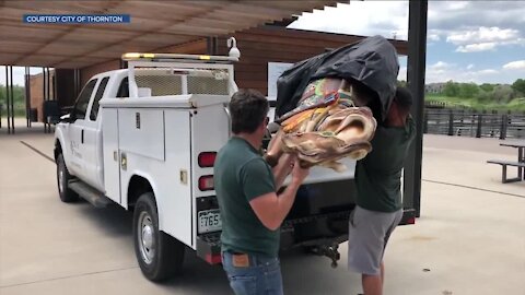 'Highly insensitive' carousel horse at a Thornton park removed