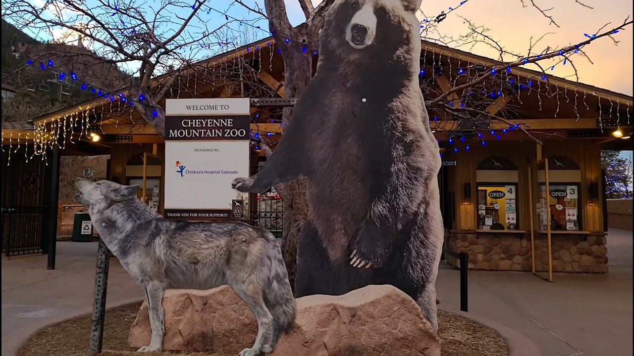 Cheyenne Mountain Zoo Christmas Decorations