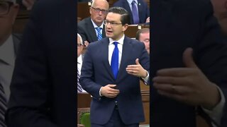 Pierre Poilievre DESTROYS Liberal 🔥 #shorts