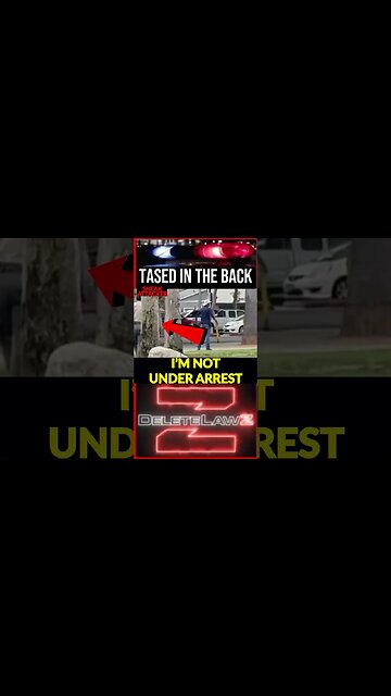 Sneaky Lil Pig Violates Policy: No Warning