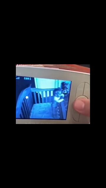 The Baby Monitor