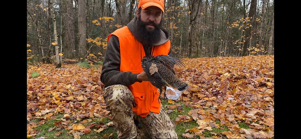 How to clean a Grouse in 20 seconds