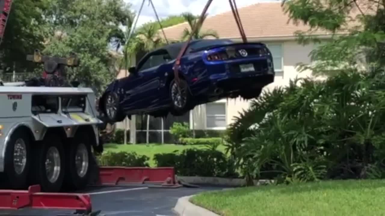 Palm Beach County firefighter rescues woman, dog after car crashes into Wellington lake