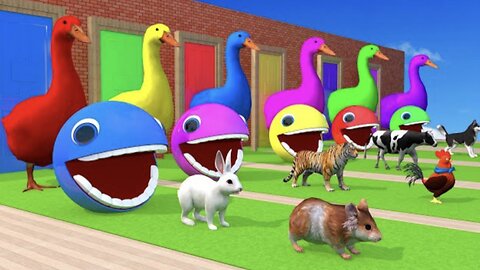 4 Giant Duck Cartoon,Tiger,Cow,rabbit,Gorilla,Hamsters,Dog,Cat Wild Animals Crossing Fountain 2023