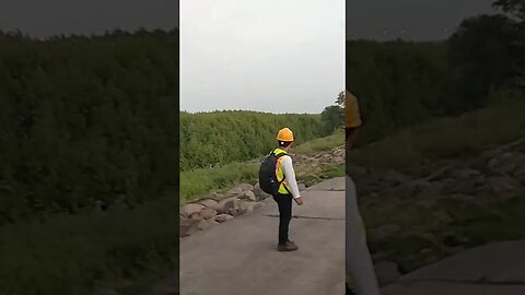 Mantau burung area mangrove PLTU ternyata banyak buruk jalak kebo