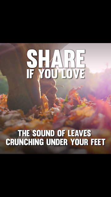 Crunching Leaves [GMG Originals]