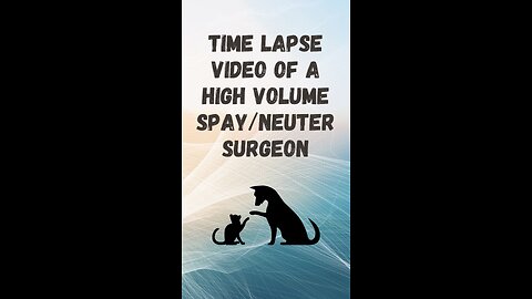 Time Lapse Veterinary Surgery