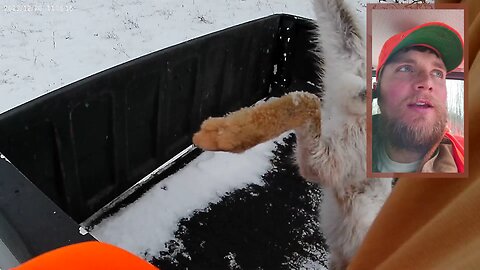 Beulah's First Snowshoe | In the Field