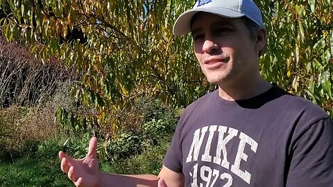 I'm Back! Let's check out the food forest in late fall 2022!