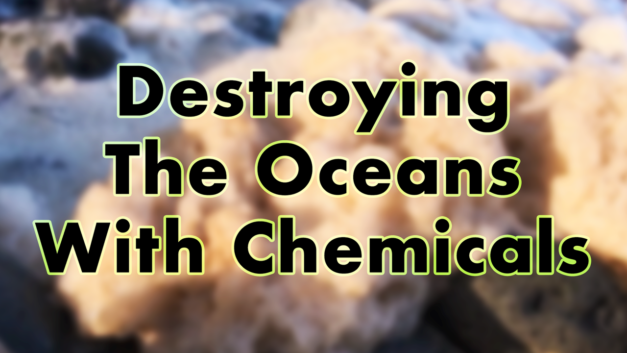 Destroying The Oceans With Chemicals | Dr. Robert Cassar