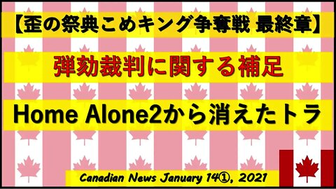 【米大統領選挙】弾劾裁判に関する補足 Home Alone2から消えたトラさん