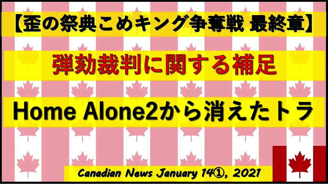 【米大統領選挙】弾劾裁判に関する補足 Home Alone2から消えたトラさん