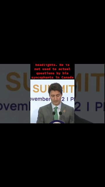 Trudeau Freezes like a deer in headlights when asked an actual substantive question.
