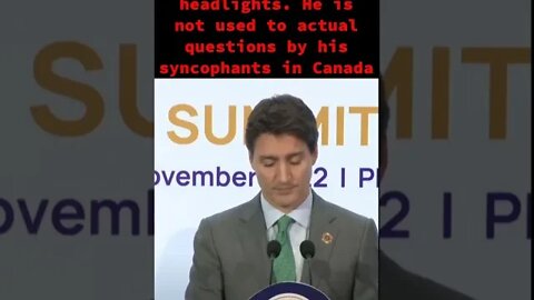 Trudeau Freezes like a deer in headlights when asked an actual substantive question.