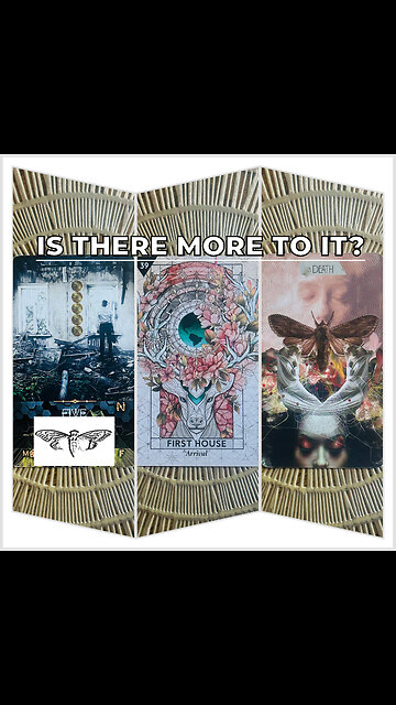 4.8 Earthquake NY | Solar Eclipse Update🌚🌞| Tarot Reading