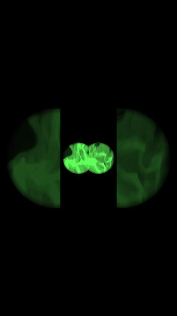 Altcoins have been going up.