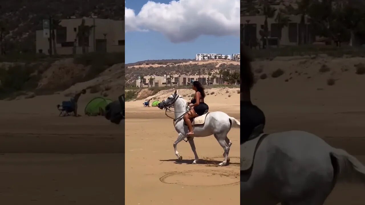 Happiest Horse On Earth #shortsvideo #jamaica #shortsfeed #nature #travel #shorts #shortsviral #fypシ