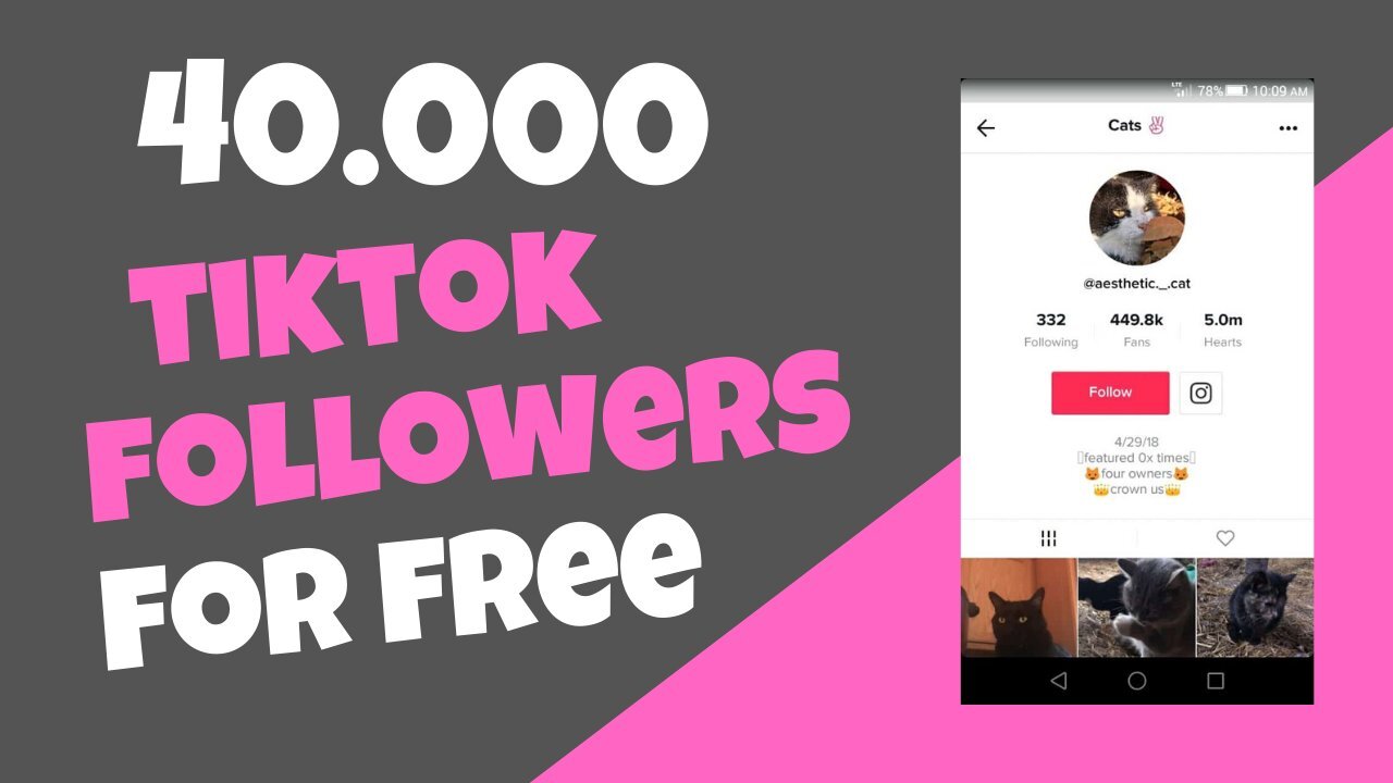 How To Get FREE TikTok Followers in 2022 GUARANTEED (REAL HACK)