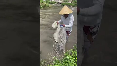 How to fishing near waterfall🦈 #fishing #fishlovers #fish