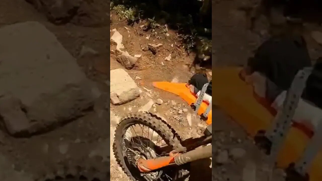 Horseshoe Fun!!!