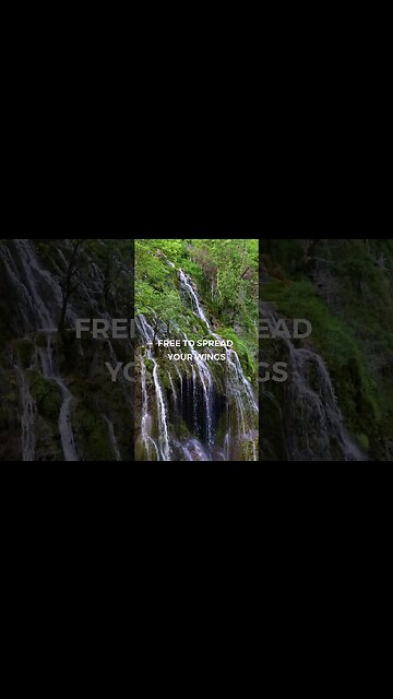 Listen to full meditations at Women's meditation network channel #meditation #sleep #shorts