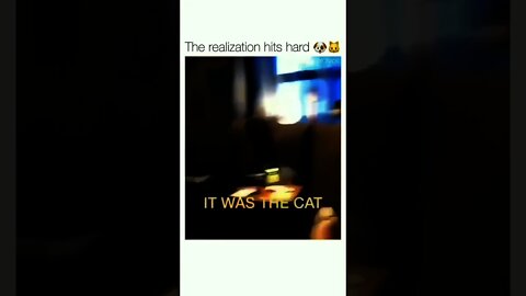 This clip is legendary😂😂