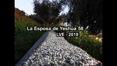 La Esposa de Yeshúa 58 - YHWH Ekjad 37 - Juan 5