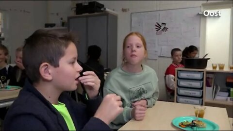 Schools in Netherlands are feeding 10 -12 old kids mealworms & insects.