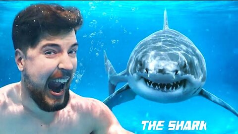 Kya Aap ₹80 Lakhs ke Liye Sharks ke Beech Jay | #Mrbeast #Mrbeast_hindi