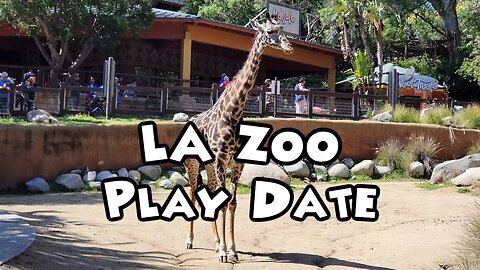 Play Date At The LA Zoo