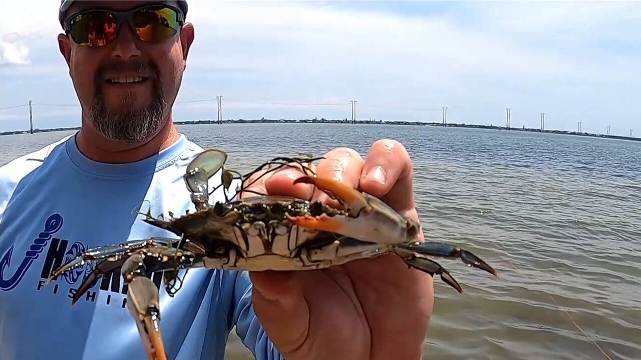 FAMILY goes CRABBING! FATHER'S DAY weekend!