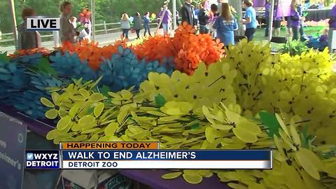 Exploring the Promise Garden at Walk to End Alzheimer's